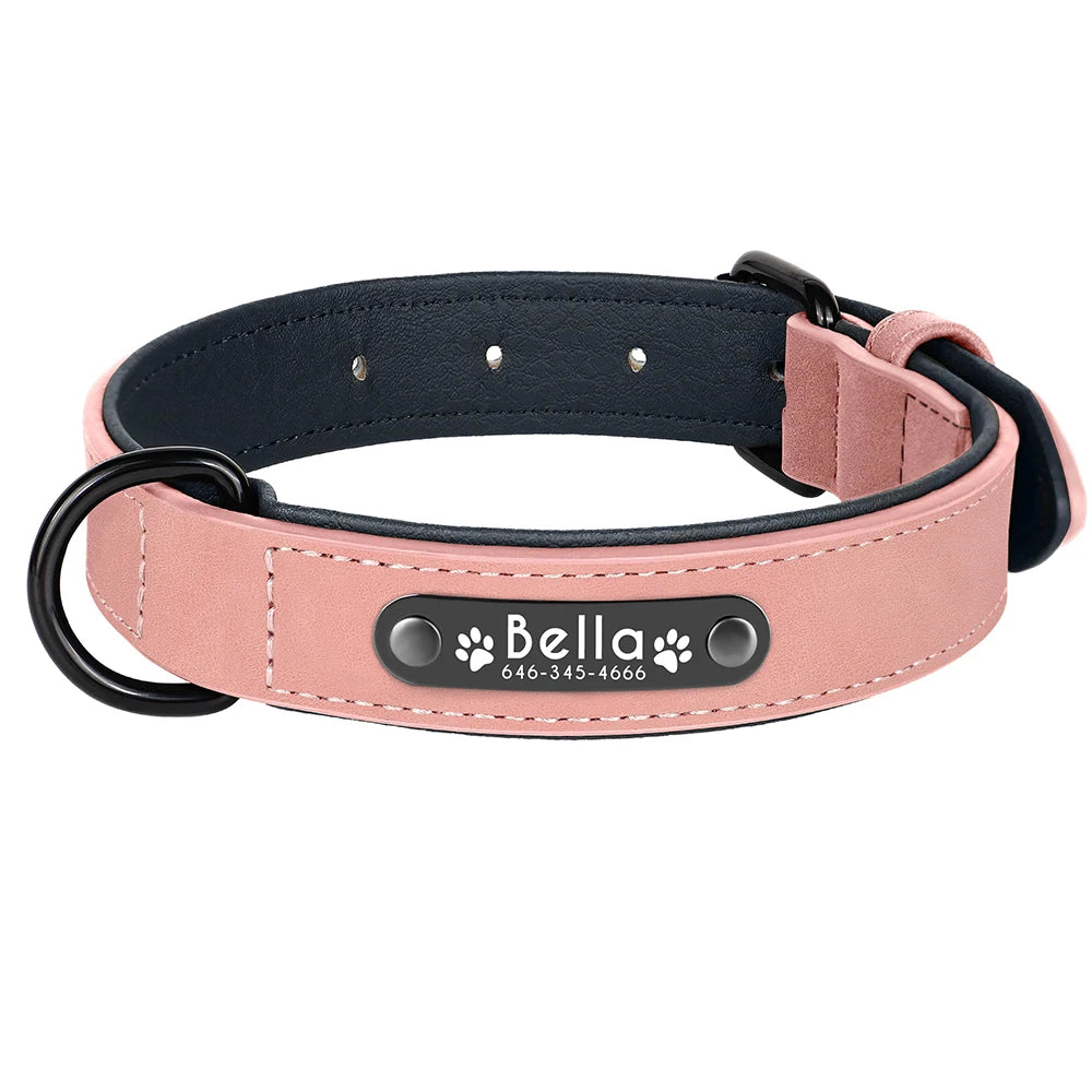 Dog Collars Personalized Custom Leather