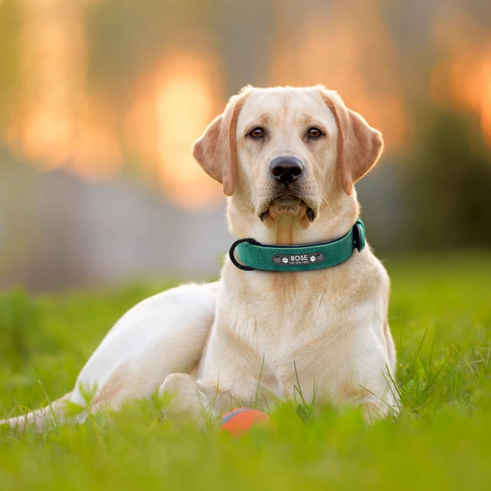 Dog Collars Personalized Custom Leather
