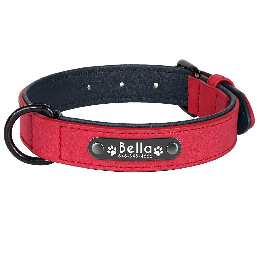 Dog Collars Personalized Custom Leather