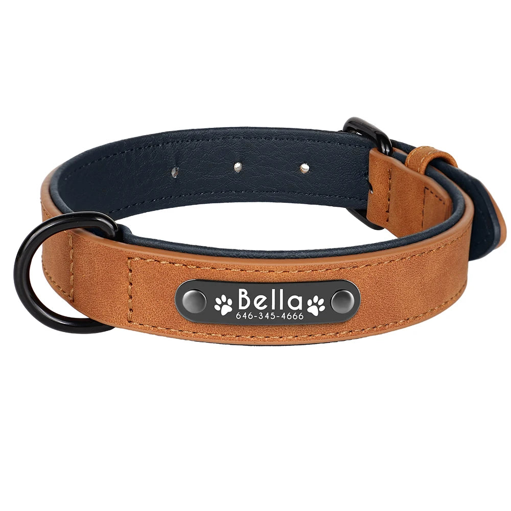 Dog Collars Personalized Custom Leather