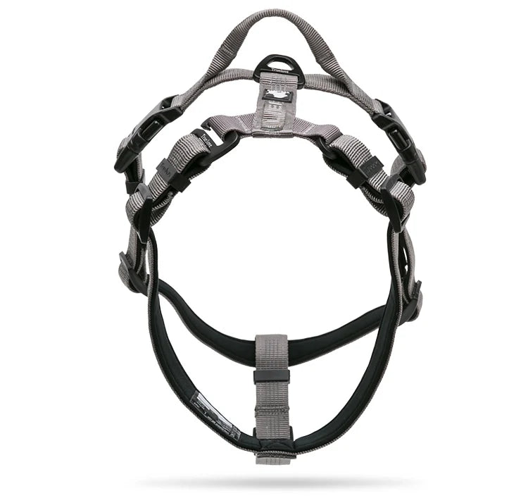 Truelove Pet Harness Adjustable Reflective Nylon with Collar Leash LED Light Neoprene Padded Hiking Running TLH6171 Dropshipping